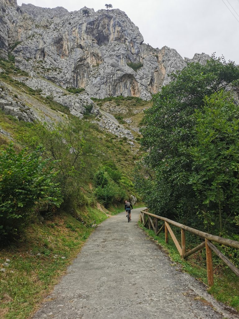 Ruta Senda del Oso Asturias